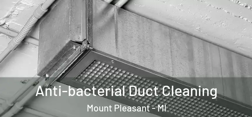  Anti-bacterial Duct Cleaning Mount Pleasant - MI