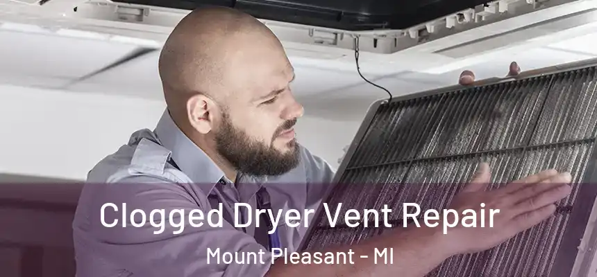 Clogged Dryer Vent Repair Mount Pleasant - MI