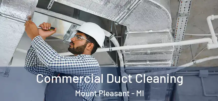 Commercial Duct Cleaning Mount Pleasant - MI