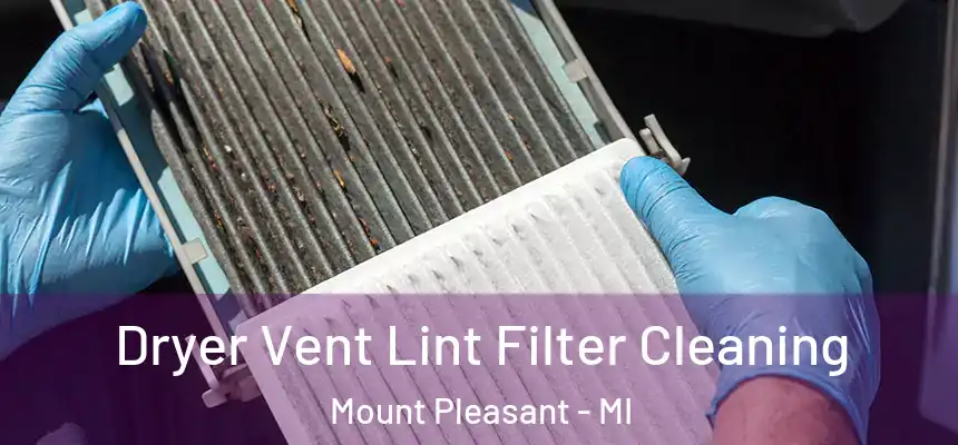  Dryer Vent Lint Filter Cleaning Mount Pleasant - MI