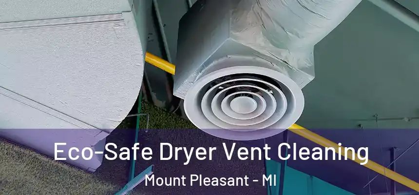 Eco-Safe Dryer Vent Cleaning Mount Pleasant - MI
