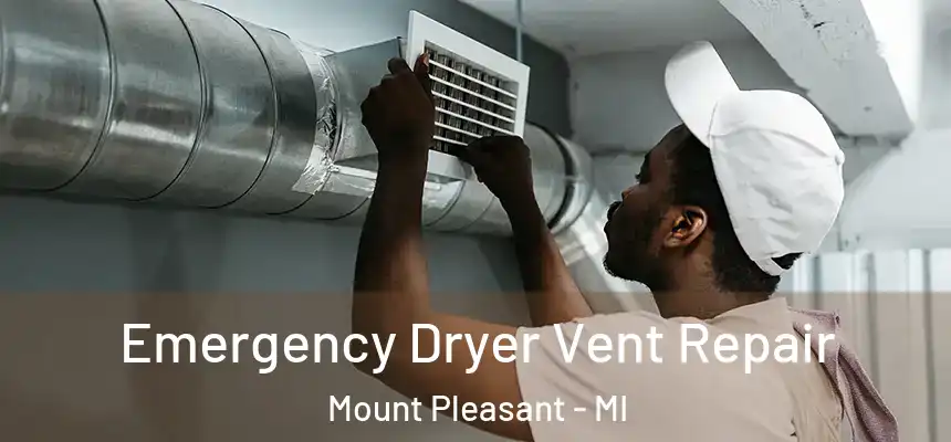  Emergency Dryer Vent Repair Mount Pleasant - MI