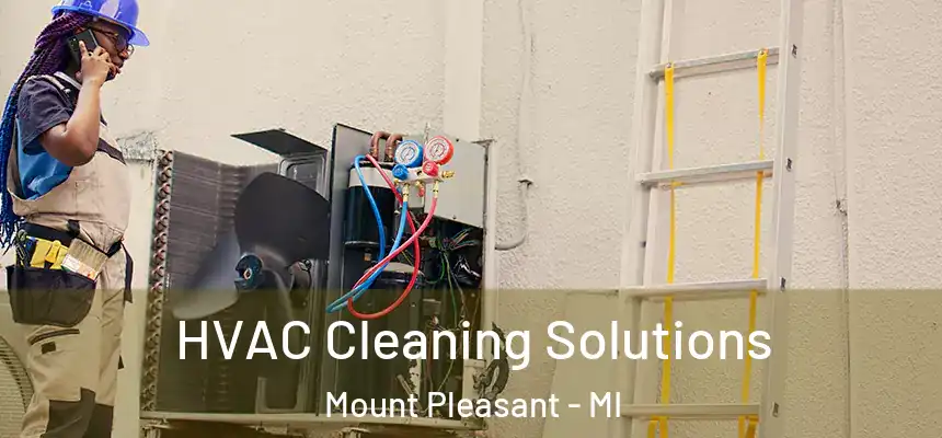  HVAC Cleaning Solutions Mount Pleasant - MI