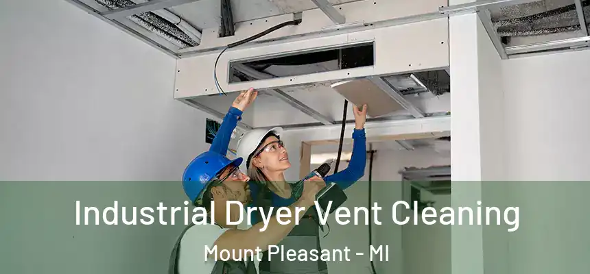 Industrial Dryer Vent Cleaning Mount Pleasant - MI