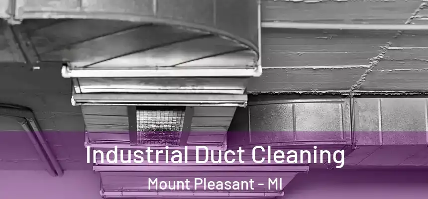 Industrial Duct Cleaning Mount Pleasant - MI