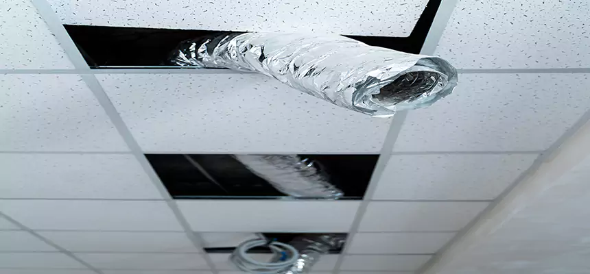 Our Air Duct Pet Hair Removal Services in Mount Pleasant, MI