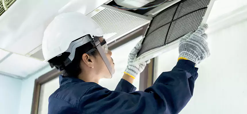 Our Mold & Mildew Removal from Air Ducts Services in Mount Pleasant, MI