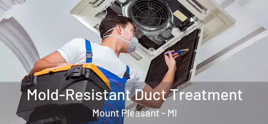 Mold-Resistant Duct Treatment Mount Pleasant - MI