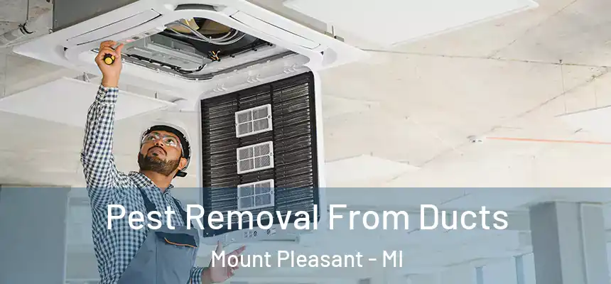 Pest Removal From Ducts Mount Pleasant - MI