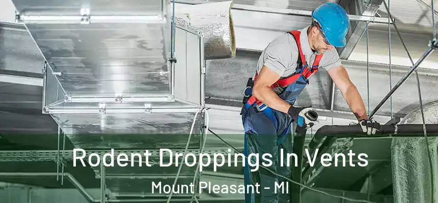  Rodent Droppings In Vents Mount Pleasant - MI