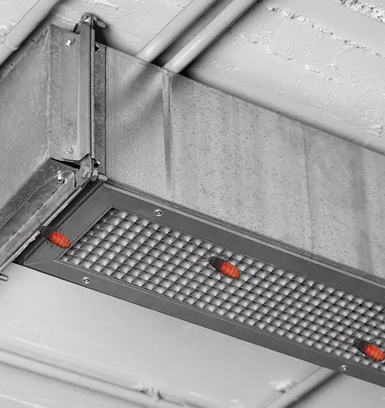 About Air Duct Cockroach Removal in Mount Pleasant, MI