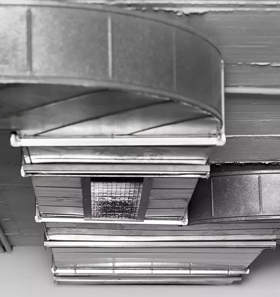 Professional Air Duct Pet Hair Removal in Mount Pleasant, MI