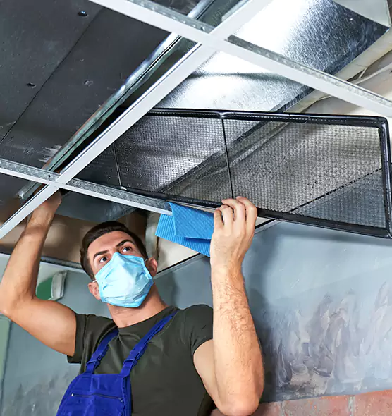 Professional Air Duct Pollen Cleaning in Mount Pleasant, MI