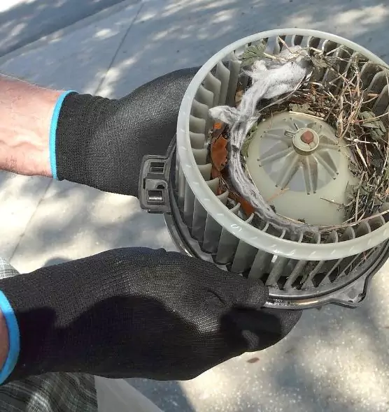 About Air Duct Rat Removal in Mount Pleasant, MI