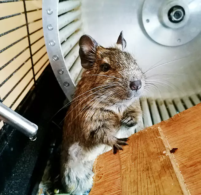 Why Homeowners & Businesses Trust Us Mount Pleasant, MI